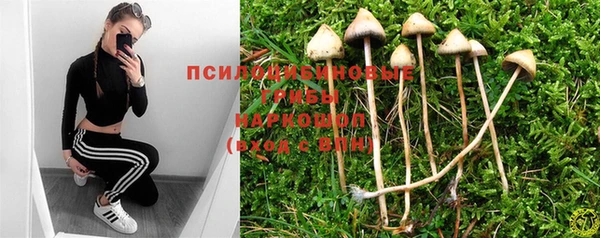 молекула духа Михайловка