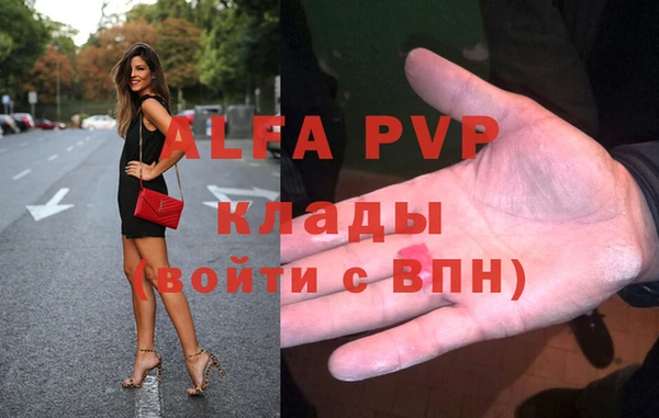 молекула духа Ельня