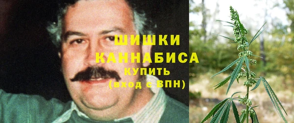 молекула духа Михайловка