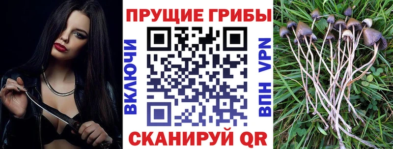 Псилоцибиновые грибы прущие грибы  Бобров 